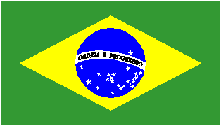 BRA logo