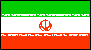 IRI logo