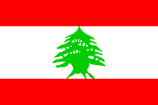 LIB logo