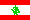 LIB logo