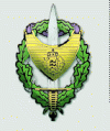 ROID logo