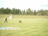 dmi2006_2071.jpg