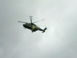 dmi2006_2081.jpg