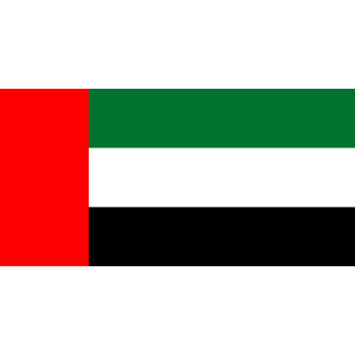 UAE logo